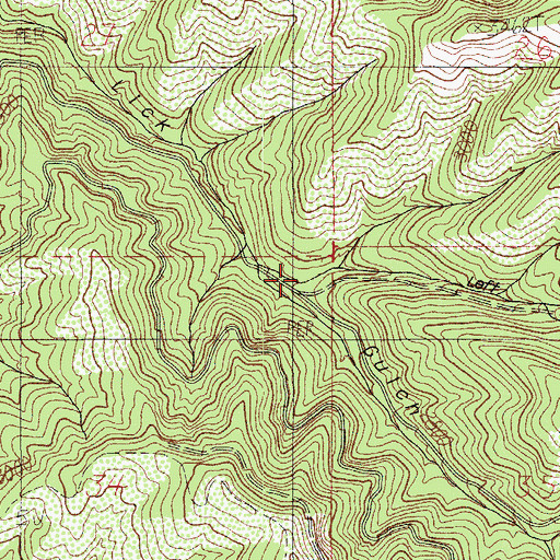 Topographic Map of Left Fork Lick Gulch, OR