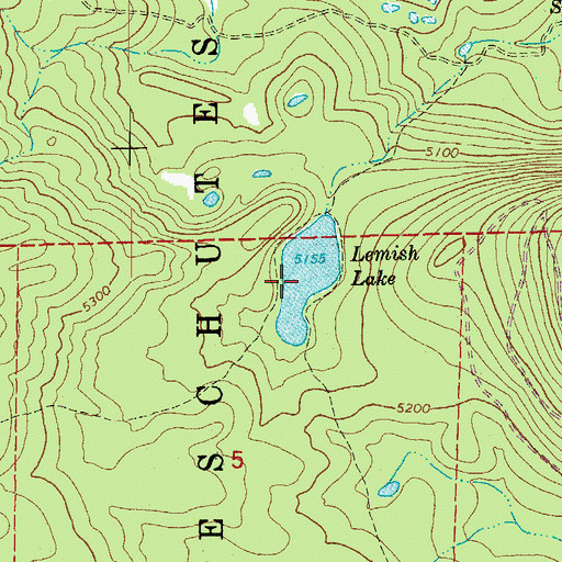 Topographic Map of Lemish Lake, OR