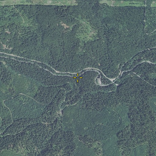 Aerial/Satellite Image of Leone Creek, OR