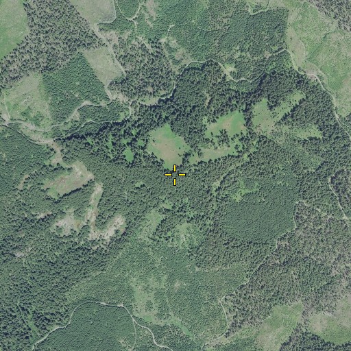 Aerial/Satellite Image of Limpy Mountain, OR