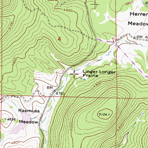 Topographic Map of Linger Longer Prairie, OR
