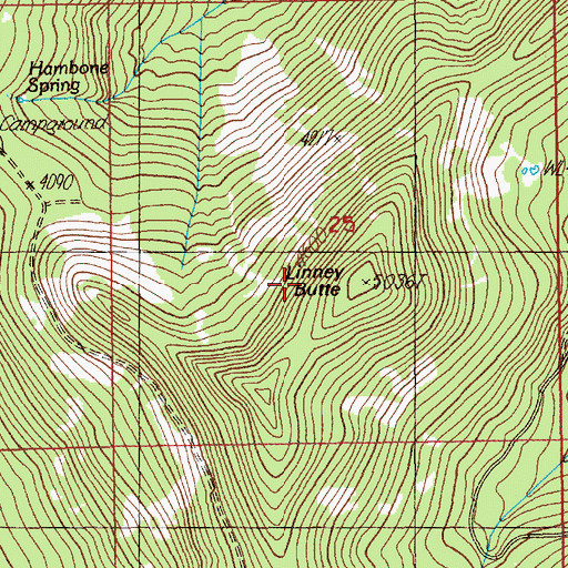Topographic Map of Linney Butte, OR