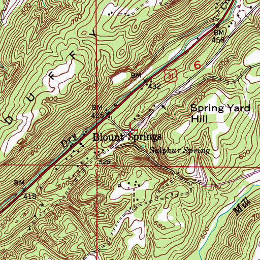 Topographic Map of Blount Springs, AL