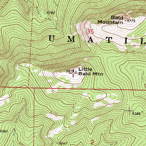 Topographic Map of Little Bald Mountain, OR