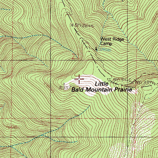Topographic Map of Little Bald Mountain Prairie, OR