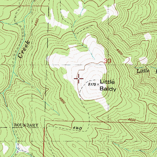 Topographic Map of Little Baldy, OR