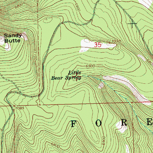 Topographic Map of Little Bear Spring, OR