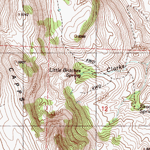 Topographic Map of Little Briches Spring, OR