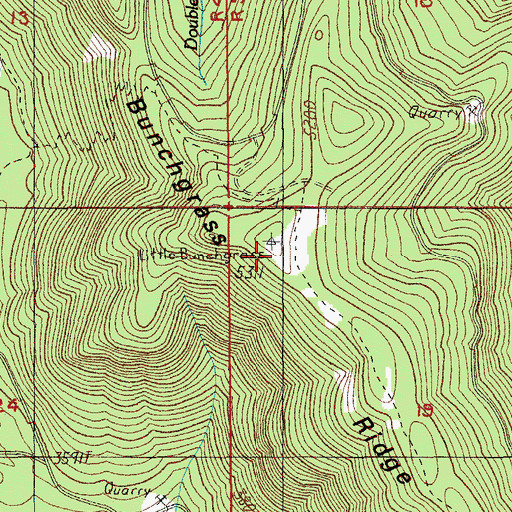 Topographic Map of Little Bunchgrass Lookout, OR