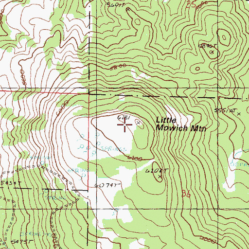 Topographic Map of Little Mowich Mountain, OR