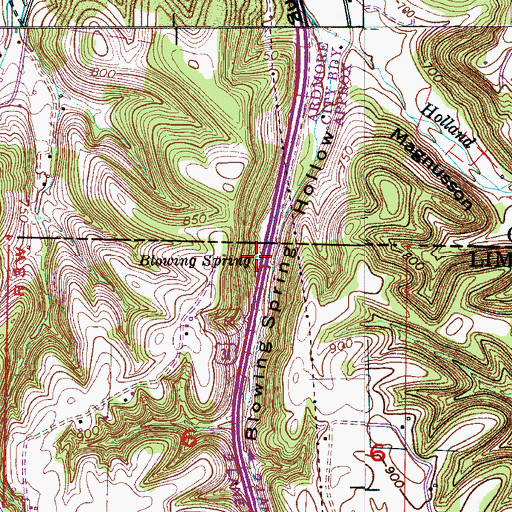Topographic Map of Blowing Spring, AL