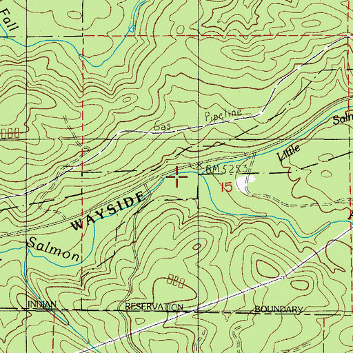 Topographic Map of Little Salmon River, OR