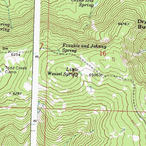 Topographic Map of Little Weasel Spring, OR