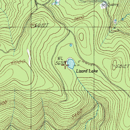 Topographic Map of Lizard Lake, OR