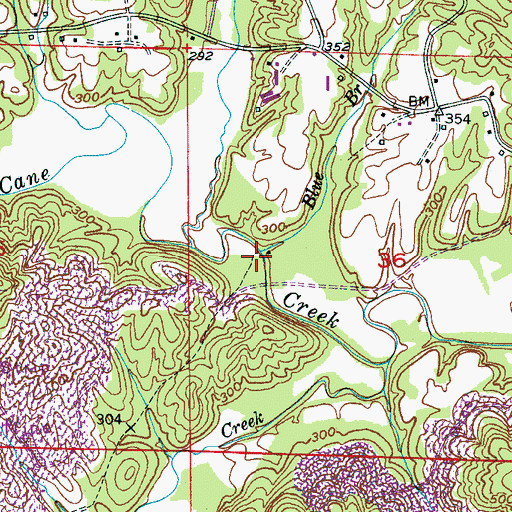 Topographic Map of Blue Branch, AL