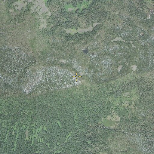 Aerial/Satellite Image of Lizard Point, OR