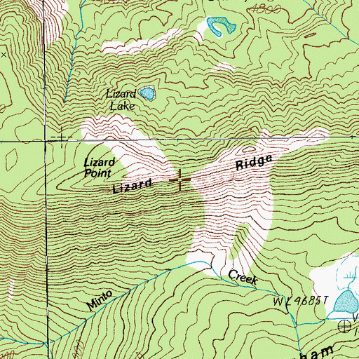 Topographic Map of Lizard Ridge, OR