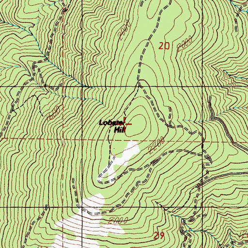 Topographic Map of Lobster Hill, OR