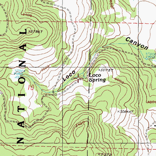 Topographic Map of Loco Spring, OR