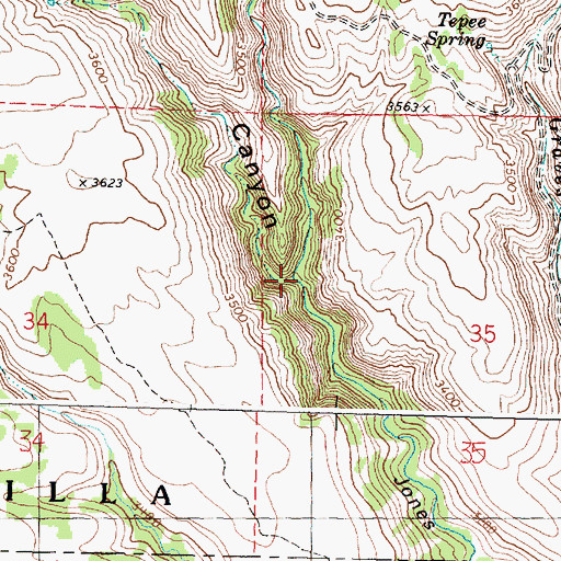 Topographic Map of Long Canyon, OR