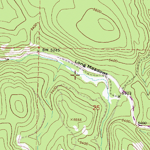 Topographic Map of Long Meadows, OR