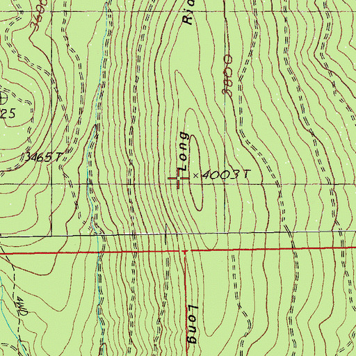 Topographic Map of Long Ridge, OR