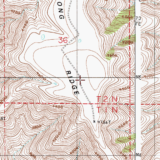 Topographic Map of Long Ridge, OR