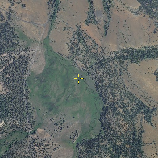 Aerial/Satellite Image of Lookout Creek, OR