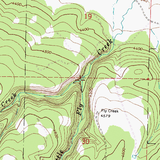 Topographic Map of Lookout Creek, OR