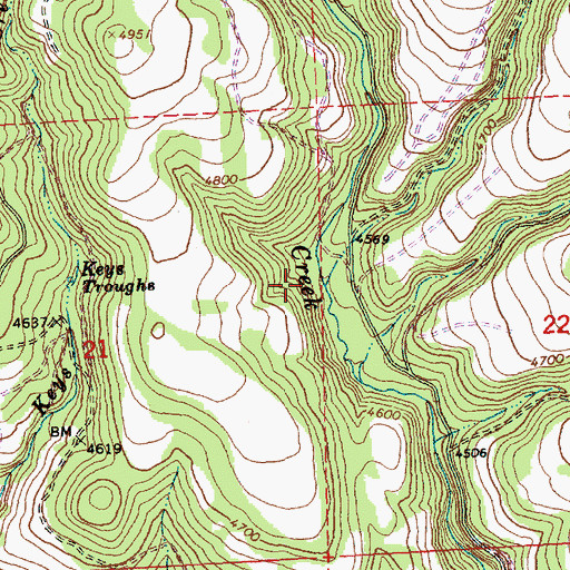 Topographic Map of Looney Creek, OR