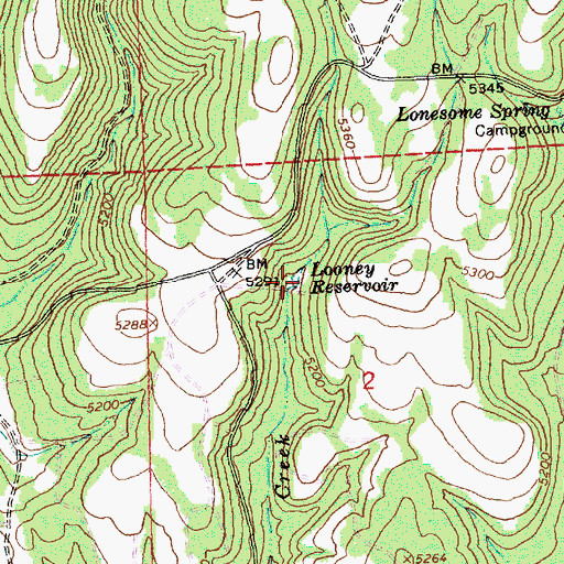 Topographic Map of Looney Reservoir, OR