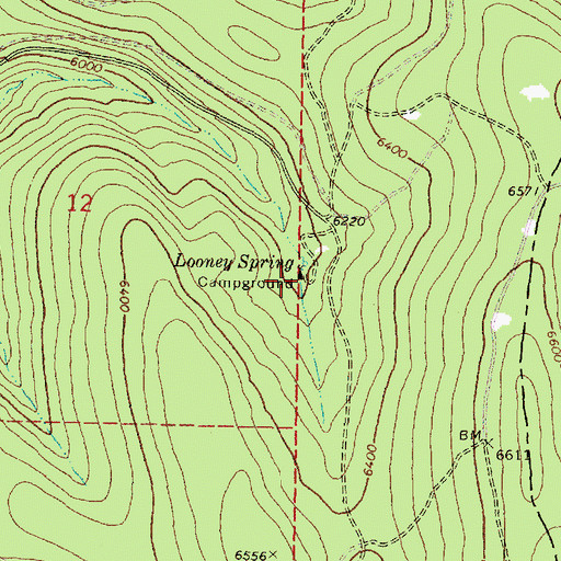 Topographic Map of Looney Spring Campground, OR