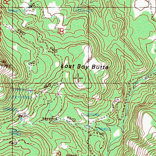 Topographic Map of Lost Boy Butte, OR