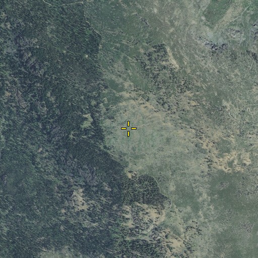 Aerial/Satellite Image of Lost Camp, OR