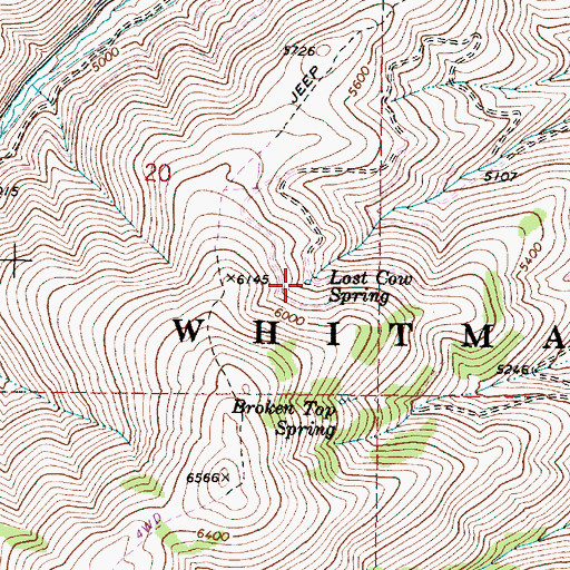 Topographic Map of Lost Cow Spring, OR
