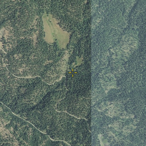 Aerial/Satellite Image of Lost Creek, OR
