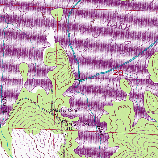 Topographic Map of Blue Lick Branch, AL