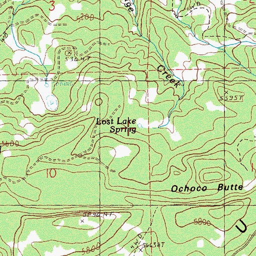 Topographic Map of Lost Lake Spring, OR