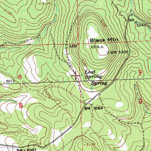 Topographic Map of Lost Spring, OR