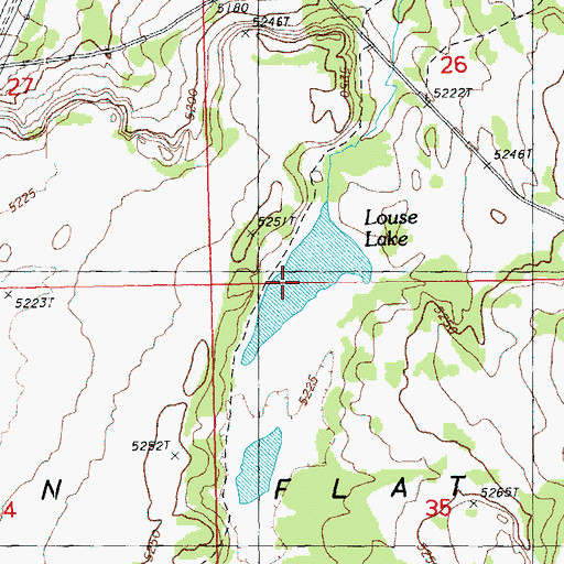Topographic Map of Louse Lake, OR