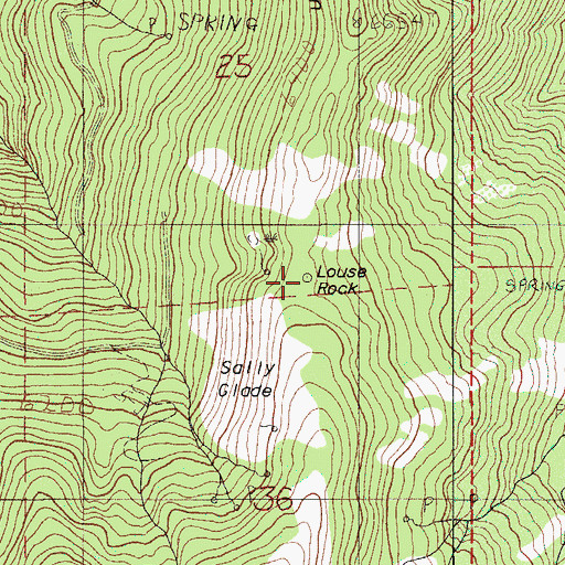 Topographic Map of Louse Rock, OR