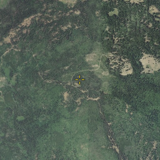 Aerial/Satellite Image of Louse Spring, OR
