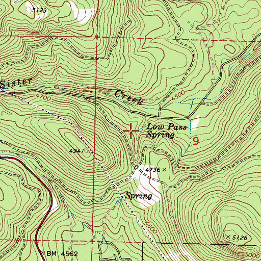 Topographic Map of Low Pass Spring, OR