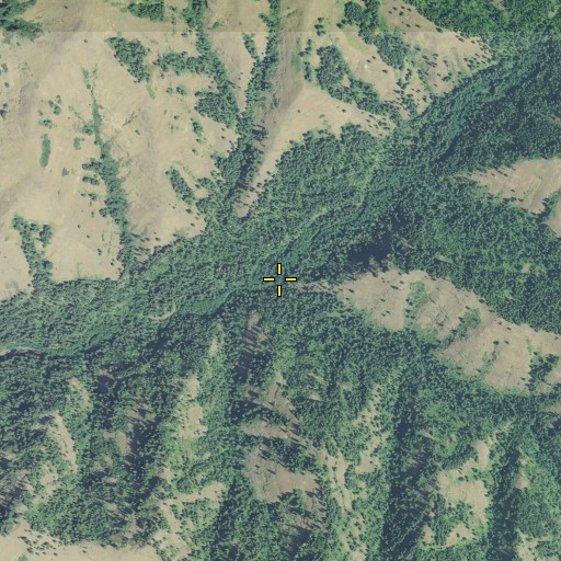 Aerial/Satellite Image of Low Creek, OR