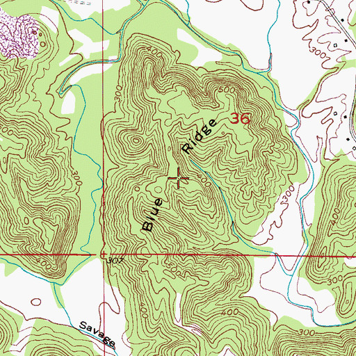 Topographic Map of Blue Ridge, AL