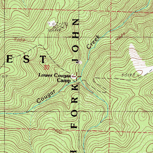 Topographic Map of Lower Cougar Camp, OR