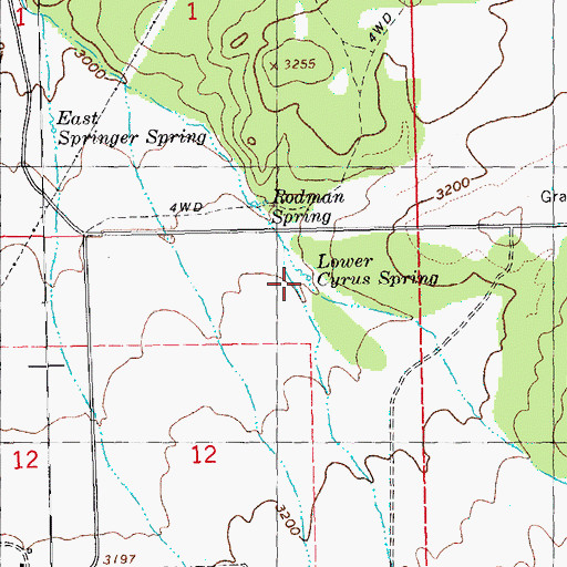Topographic Map of Lower Cyrus Spring, OR