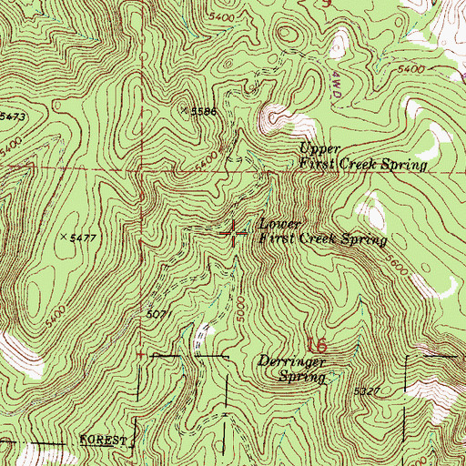 Topographic Map of Lower First Creek Spring, OR