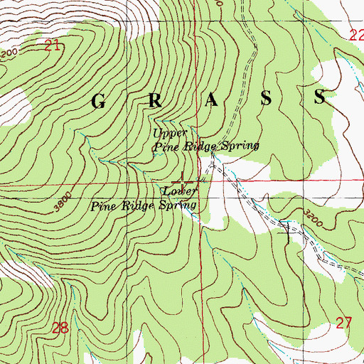 Topographic Map of Lower Pine Ridge Spring, OR