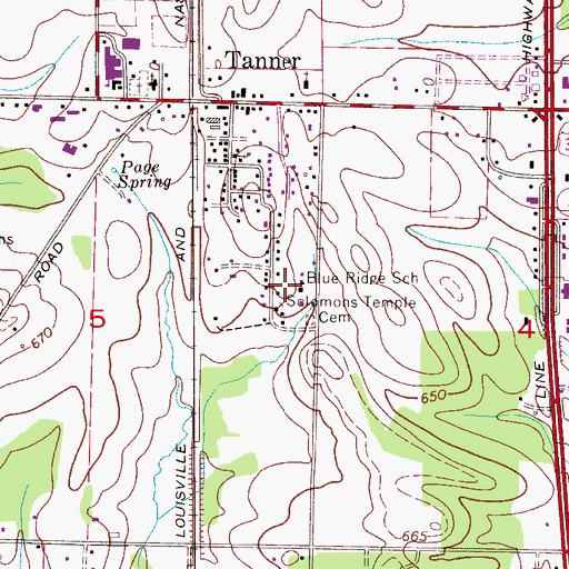 Topographic Map of Blue Ridge School, AL